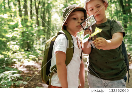 Exploring plants through magnifying glass. Kids in forest at summer daytime together 132262060