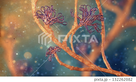 Microscopic human pathogenic molds with branching hyphae and spores, opportunistic fungi causing infections in immunocompromised patients, generative ai illustration Microscopic human pathogenic molds with branching hyphae and spores, opportunistic fungi causing infections in immunocompromised patients, generative ai illustration 132262082