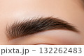 An extreme close-up macro shot of a perfectly shaped and styled eyebrow, showcasing the popular beauty trend of brow lamination. 132262483