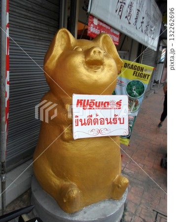 Golden Pig Statue Holding a Signboard Outside a Shop with Travel Posters Golden Pig Statue Holding a Signboard Outside a Shop with Travel Posters 132262696