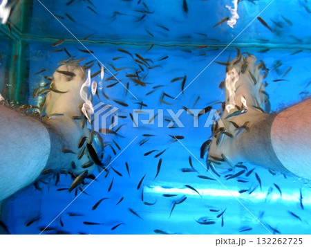 Fish Spa Treatment with Feet in a Tank of Small Fish Fish Spa Treatment with Feet in a Tank of Small Fish 132262725