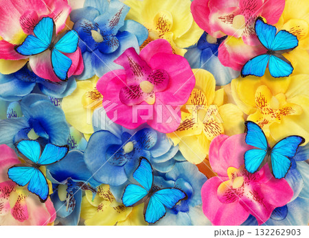 Floral background from colorful artificial flowers and Morpho godartii butterflies 132262903