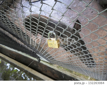 Locked Wire Fence Securing a Zoo Enclosure with Animals in the Background 132263064