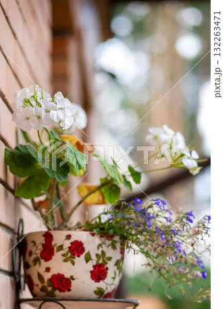 Floral ceramic pot with red roses and white geraniums hangs from decorative metal holder on brick wall, creating cozy urban garden feel. Floral ceramic pot with red roses and white geraniums hangs from decorative metal holder on brick wall, creating cozy urban garden feel. 132263471