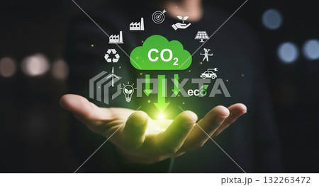 手のひらに広がる持続可能な地球 132263472