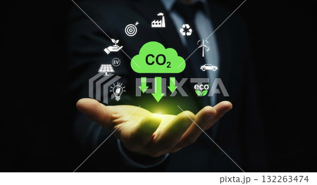 手のひらに広がる持続可能な地球 132263474