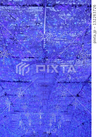 時之栖のイルミネーション 時之栖のイルミネーション 132263726