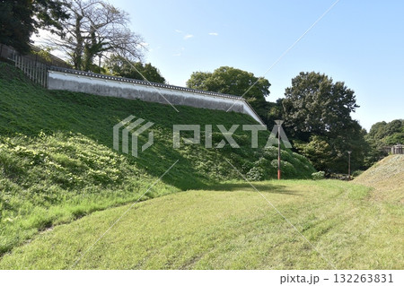 亀山城二の丸帯曲輪を見上げる俯瞰広場 132263831