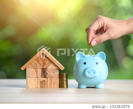 ブタの貯金箱と木製マイホームの目標 ブタの貯金箱と木製マイホームの目標 132263979