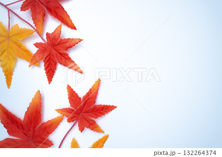 赤と黄の紅葉が映える白背景の秋イメージ 赤と黄の紅葉が映える白背景の秋イメージ 132264374