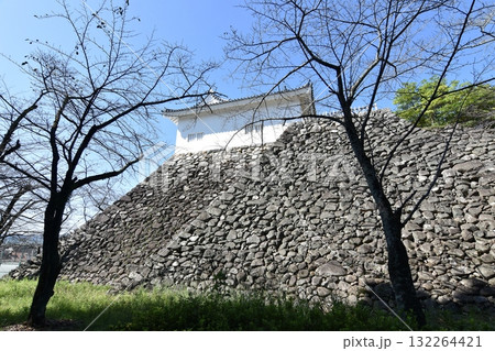 亀山城多門櫓 132264421