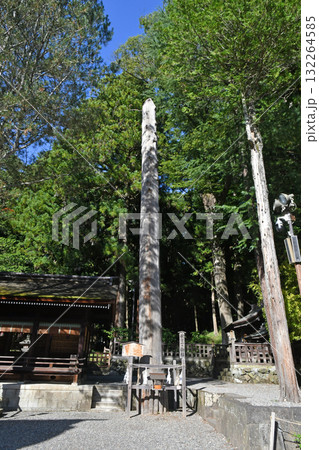 諏訪大社下社　秋宮一之御柱 132264585