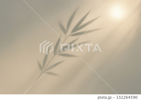 柔らかな光に包まれた竹の影 132264590
