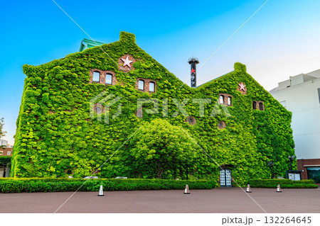 北海道　札幌市　早朝のサッポロファクトリー 132264645