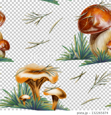 Autumn seamless pattern of chanterelle and red cap bolete mushrooms in the yellowing grass of a forest with pine needles on caps.Handmade illustrations in watercolor and colored pencil Autumn seamless pattern of chanterelle and red cap bolete mushrooms in the yellowing grass of a forest with pine needles on caps.Handmade illustrations in watercolor and colored pencil 132265874