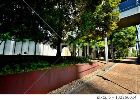 國學院大學 渋谷キャンパス 132266014