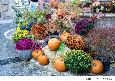 ハロウィンのカボチャ 132266335