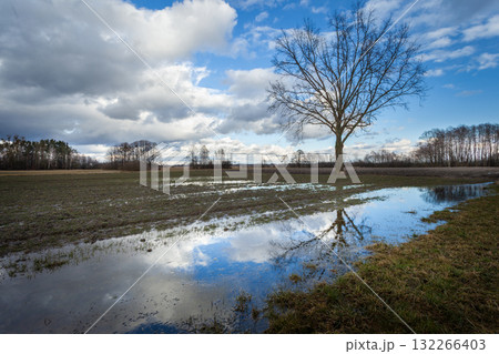 Water in the field and clouds in the sky 132266403