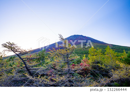 【山梨県】富士山　奥庭の紅葉 132266444