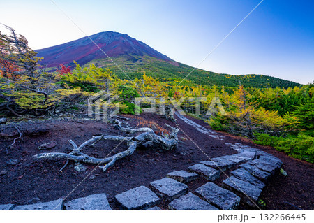 【山梨県】富士山　奥庭の紅葉 132266445