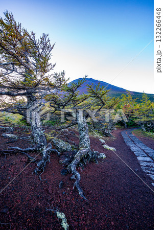 【山梨県】富士山 奥庭の紅葉 【山梨県】富士山 奥庭の紅葉 132266448