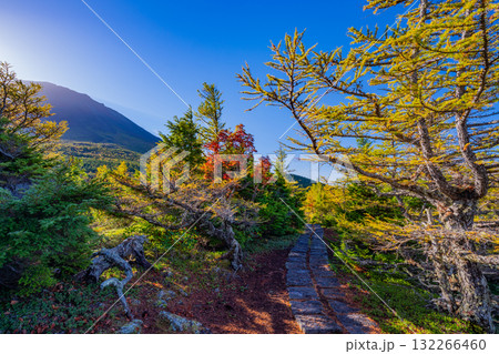 【山梨県】富士山　奥庭の紅葉 132266460