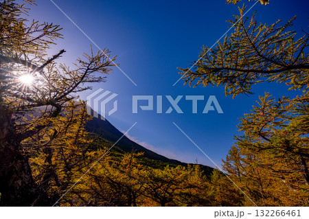 【山梨県】富士山 奥庭の紅葉 【山梨県】富士山 奥庭の紅葉 132266461