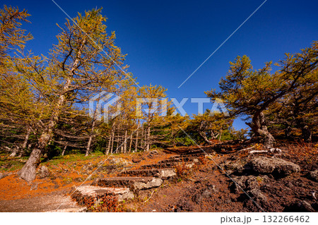 【山梨県】富士山 奥庭の紅葉 【山梨県】富士山 奥庭の紅葉 132266462