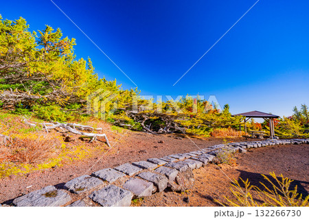 【山梨県】富士山　紅葉に包まれた奥庭の東屋 132266730