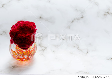 ガラスの暖色の一輪挿しに挿したケイトウの花(左配置) ガラスの暖色の一輪挿しに挿したケイトウの花(左配置) 132266743