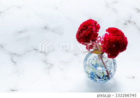 ガラスの寒色の一輪挿しに挿した少し傷んだケイトウの花 ガラスの寒色の一輪挿しに挿した少し傷んだケイトウの花 132266745