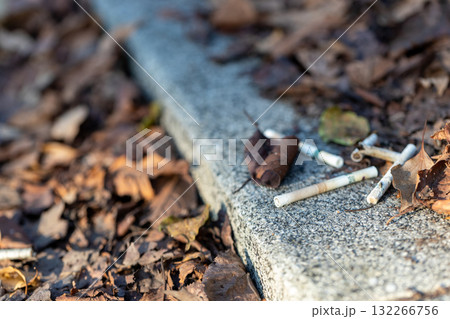 公園に捨てられているたばこの吸い殻 落ち葉と白い煙草のポイ捨ての素材写真 公園に捨てられているたばこの吸い殻 落ち葉と白い煙草のポイ捨ての素材写真 132266756