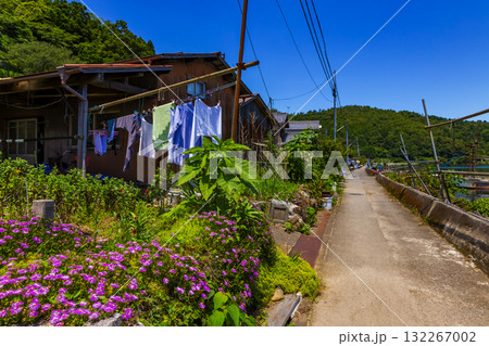 沖島の漁港風景 沖島の漁港風景 132267002