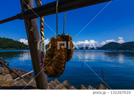 沖島の漁港風景 132267010