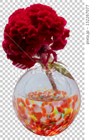 暖色玻璃花瓶中的雞冠花剪紙 132267077