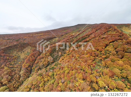 栗駒山の紅葉 空撮 栗駒山の紅葉 空撮 132267272