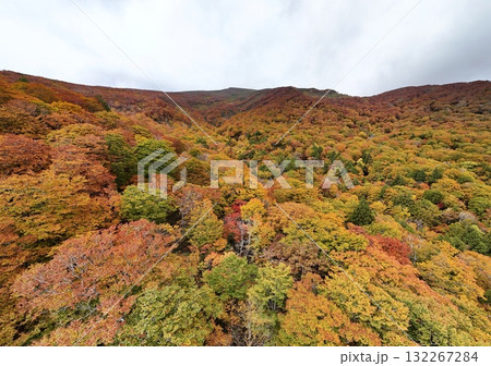 栗駒山の紅葉　空撮 132267284