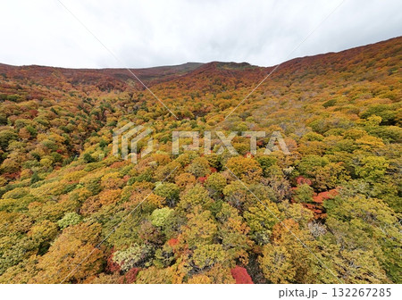 栗駒山の紅葉 空撮 栗駒山の紅葉 空撮 132267285