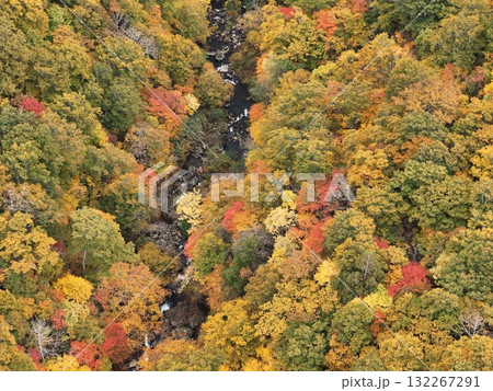 栗駒山の紅葉 空撮 栗駒山の紅葉 空撮 132267291