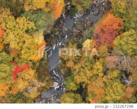 栗駒山の紅葉 空撮 栗駒山の紅葉 空撮 132267296