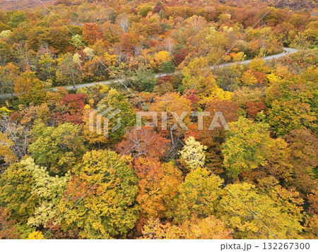 栗駒山の紅葉 空撮 栗駒山の紅葉 空撮 132267300