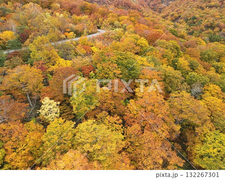 栗駒山の紅葉 空撮 栗駒山の紅葉 空撮 132267301