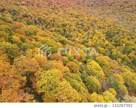 栗駒山の紅葉 空撮 栗駒山の紅葉 空撮 132267302