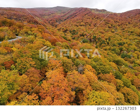 栗駒山の紅葉　空撮 132267303