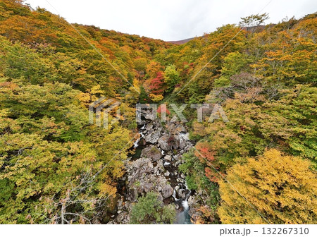 栗駒山の紅葉 空撮 栗駒山の紅葉 空撮 132267310