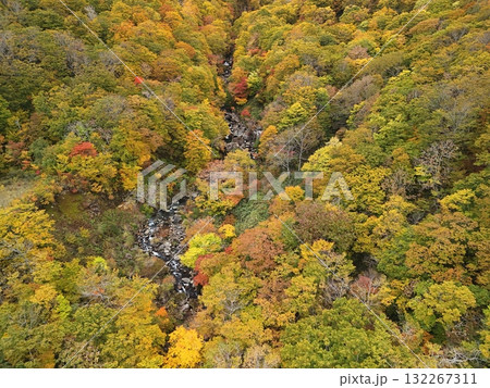栗駒山の紅葉 空撮 栗駒山の紅葉 空撮 132267311