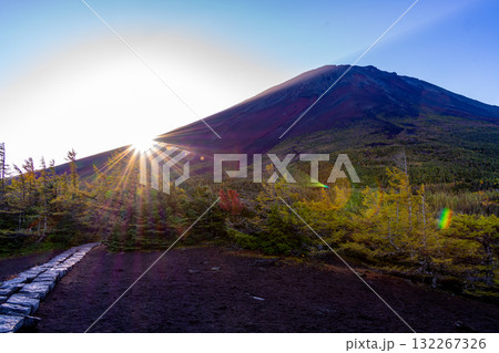 【山梨県】富士山・朝の光が奥庭を照らす 132267326