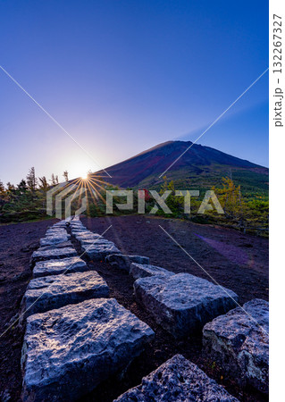 【山梨県】富士山・朝の光が奥庭を照らす 132267327