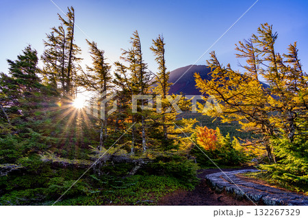 【山梨県】富士山・朝の光が奥庭を照らす 【山梨県】富士山・朝の光が奥庭を照らす 132267329