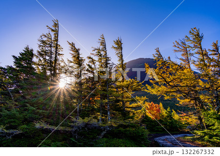 【山梨県】富士山・朝の光が奥庭を照らす 132267332